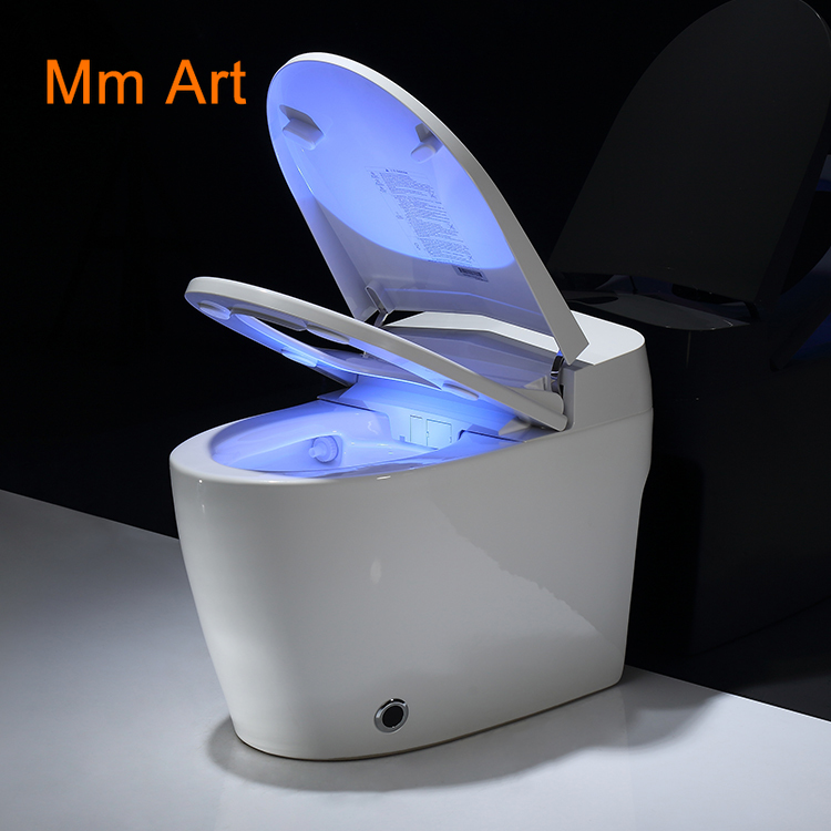 Wholecheap 110V/220V auto open one piece japanese electric bidet siphonic intelligent smart wc automatic toilet