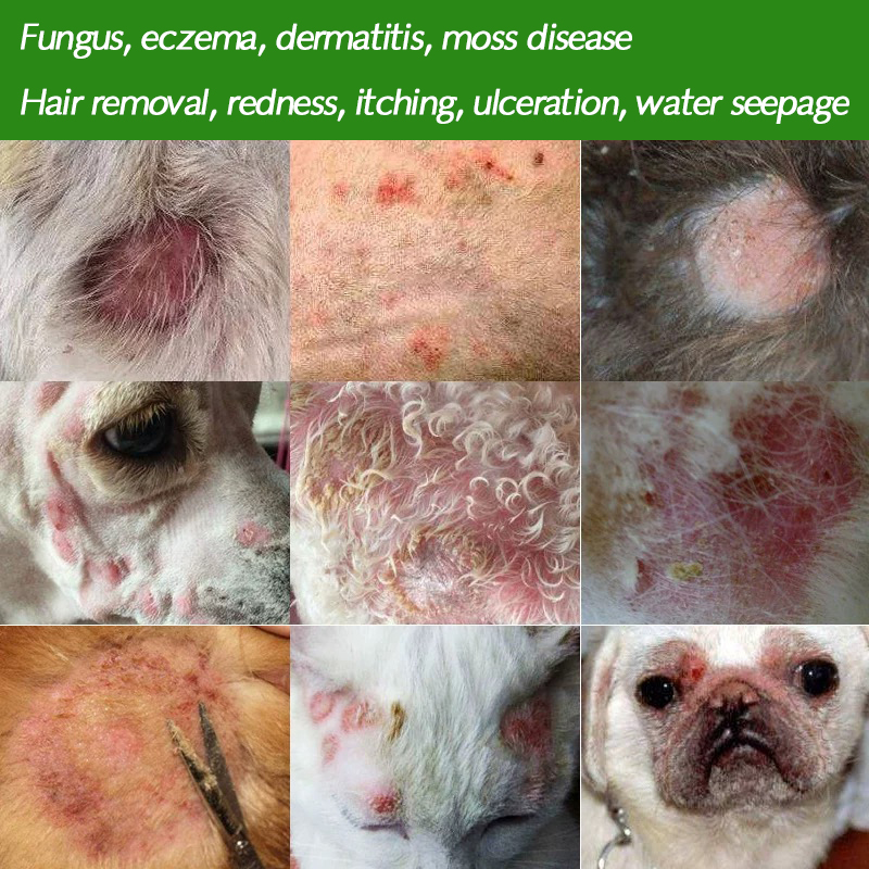 Pet dog cat skin care agent topical ointment for fungal eczema， dermatitis， swelling， itching， ulceration