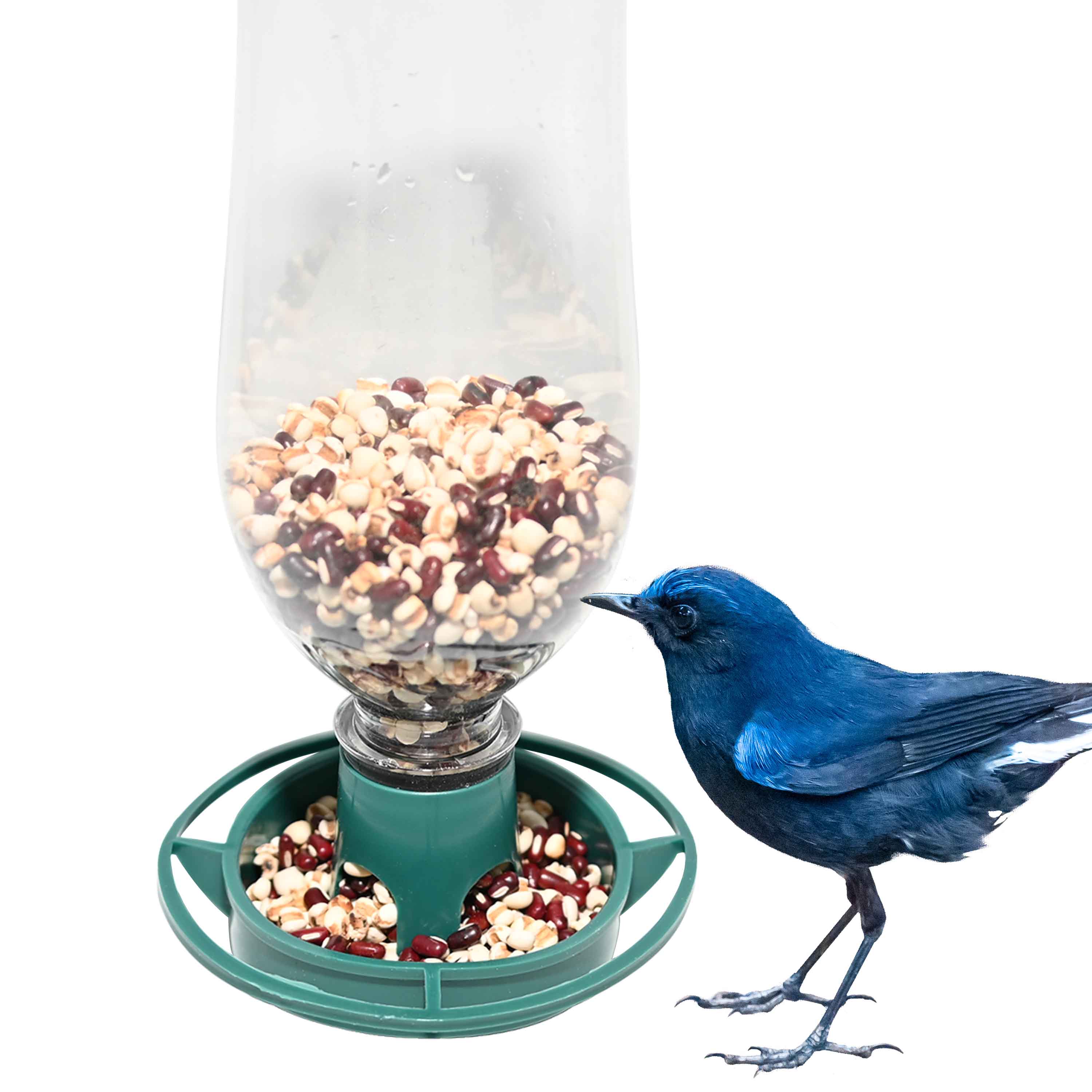 2PCS Recycle Empty Soda Bottle Top Bird Feeder Easy to Hang Outdoors Fill  Plastic Bottle with Seed， Twist on Feeding Tray