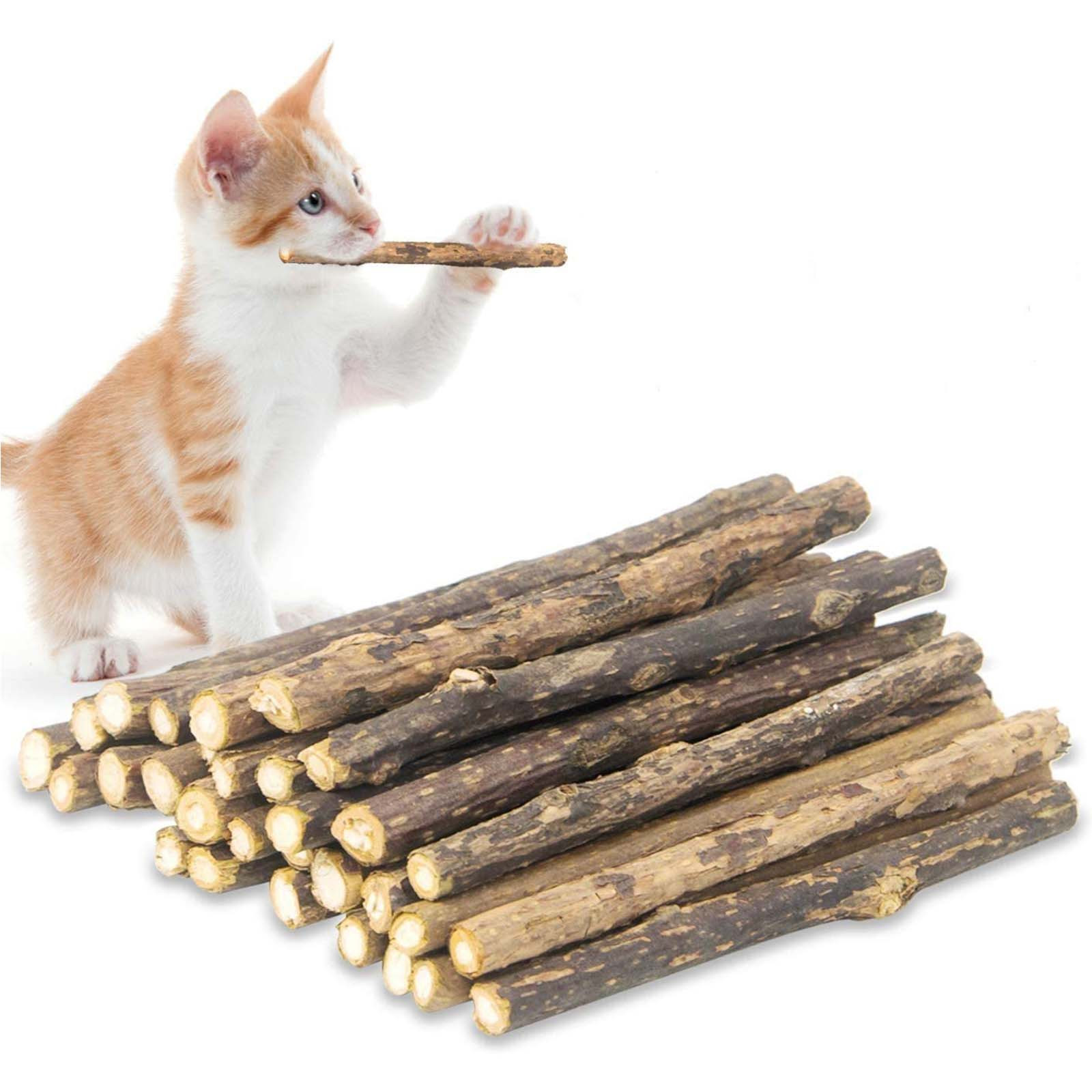 Cat Chew Catnip Stick Set Minty Stick 12cm Kitten Molar Sticks Cat Nip Sugercane Snack Oral Teeth Cleaning Gum Brush Teeth Toy