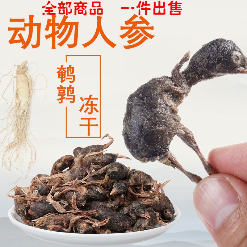 Quail Freeze-Dried Snacks Hair Chin Fat Grinding into Kittens Calcium Supplement Snacks Cat Raw Flesh Freeze-Dried Chicken