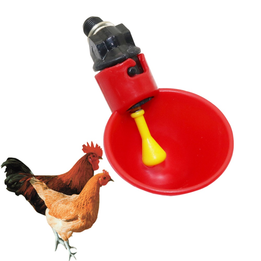 10 Pcs Poultry Water Drinking Cups Automatic Quail Chicken Drinking Plastic Chicken Fowl Drinker Cups Breeding equipment