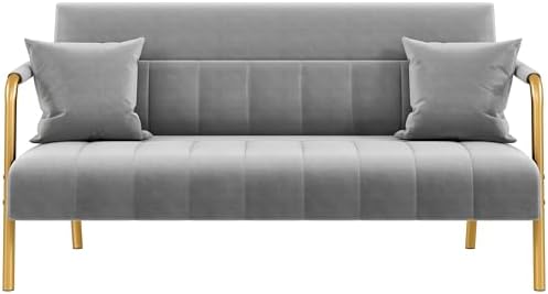 Yaheetech 56.5" W Modern Loveseat 2 Seater Sofa Luxurious Velvet Fabric Couch with Gold-Tone Metal Arms and Legs for Bedroom, Home Office, Studio Light Gray